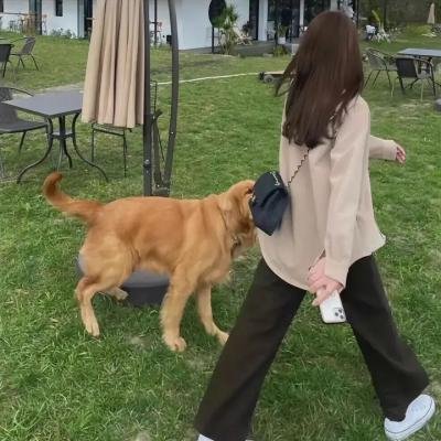 无法触碰的她