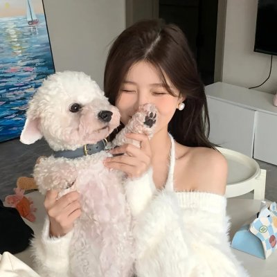 贵妃还乡